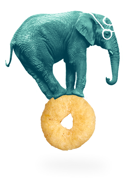elephant